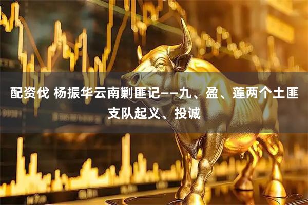 配资伐 杨振华云南剿匪记——九、盈、莲两个土匪支队起义、投诚