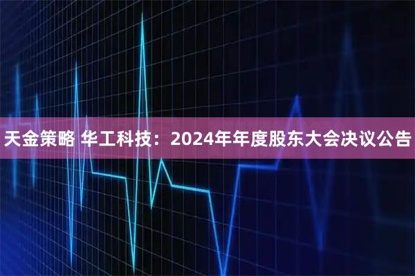 天金策略 华工科技：2024年年度股东大会决议公告