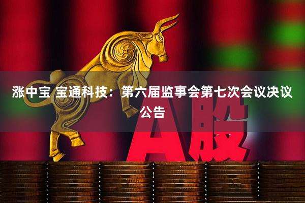 涨中宝 宝通科技：第六届监事会第七次会议决议公告
