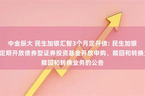 中金辰大 民生加银汇智3个月定开债: 民生加银汇智3个月定期开放债券型证券投资基金开放申购、赎回和转换业务的公告