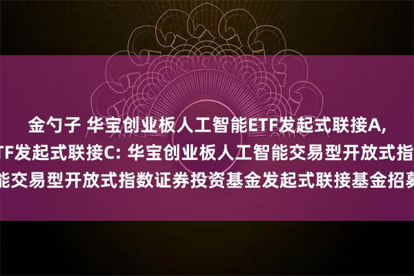 金勺子 华宝创业板人工智能ETF发起式联接A,华宝创业板人工智能ETF发起式联接C: 华宝创业板人工智能交易型开放式指数证券投资基金发起式联接基金招募说明书更新
