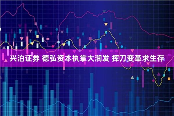 兴泊证券 德弘资本执掌大润发 挥刀变革求生存