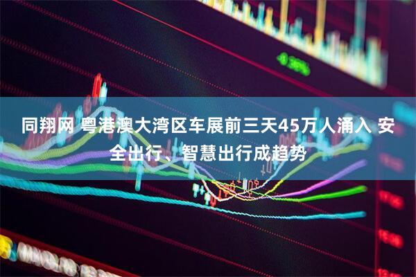 同翔网 粤港澳大湾区车展前三天45万人涌入 安全出行、智慧出行成趋势