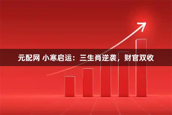 元配网 小寒启运：三生肖逆袭，财官双收