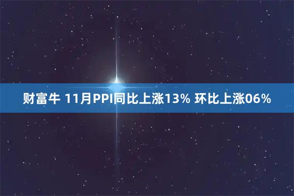 财富牛 11月PPI同比上涨13% 环比上涨06%
