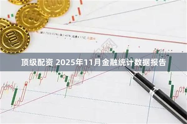 顶级配资 2025年11月金融统计数据报告