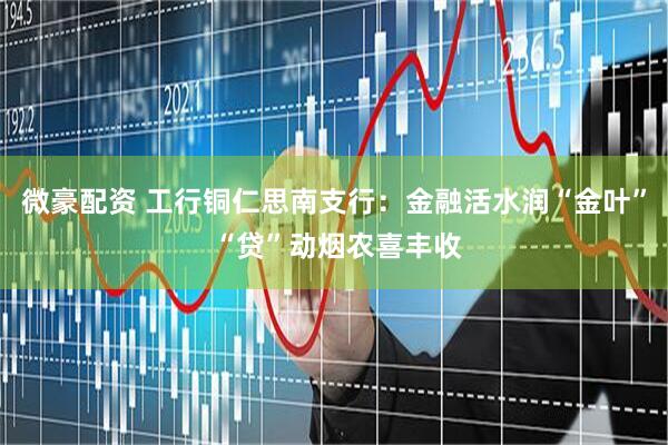 微豪配资 工行铜仁思南支行：金融活水润“金叶” “贷”动烟农喜丰收